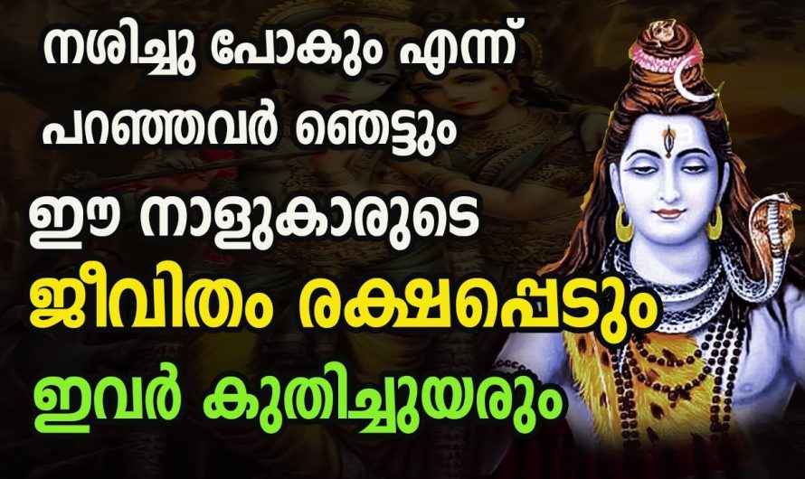 നശിച്ചു പോകുമെന്ന്  പഴി പറഞ്ഞവർക്കും മുന്നിൽ ഇതാ ഉയർപ്പിന്റെ കാലം..