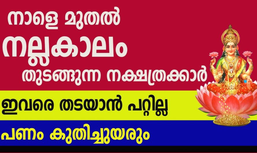 ജീവിതത്തിൽ മിന്നുന്ന നേട്ടങ്ങൾ സ്വന്തമാക്കുന്ന നക്ഷത്രക്കാർ..