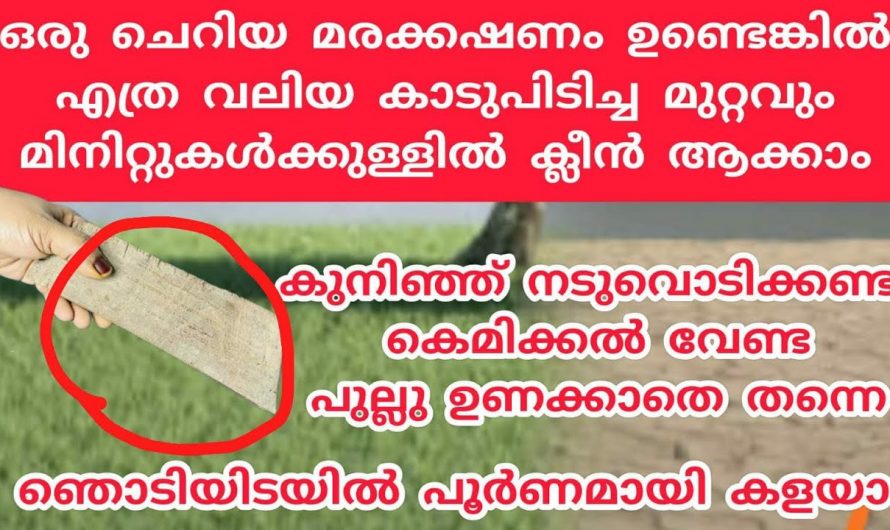 കുനിഞ്ഞ് നടുവൊടിക്കാതെ എത്ര കാടുപിടിച്ച മുറ്റവും  എളുപ്പത്തിൽ വൃത്തിയാക്കാം.