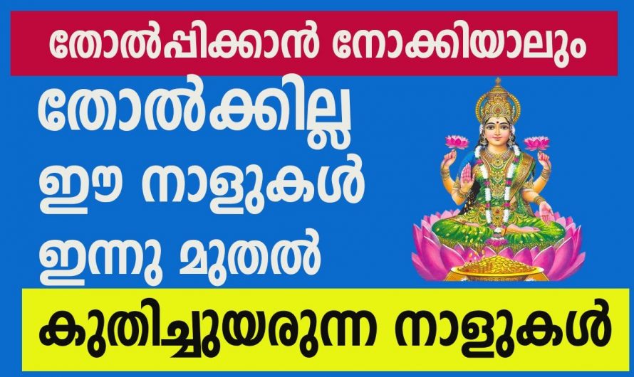 ഭാഗ്യത്താൽ താഴേക്കിടയിൽ നിന്ന് ഉയർന്നു വരുന്ന നക്ഷത്രക്കാർ..