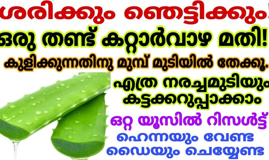 തലമുടി നല്ല രീതിയിൽ അർപ്പിക്കുവാൻ പ്രകൃതിദത്ത ഹെയർ ഡൈ.