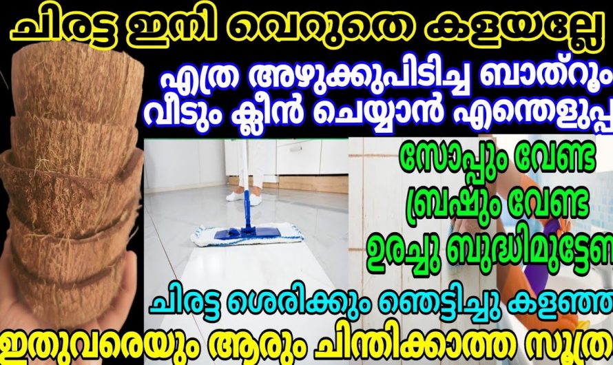 ഇതൊരെണ്ണം ഉണ്ടെങ്കിൽ എത്ര അഴുക്കുപിടിച്ച ബാത്റൂമും  എളുപ്പത്തിൽ ക്ലീൻ ചെയ്യാം.