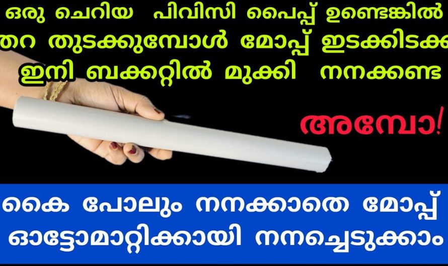 വെള്ളത്തിൽ ഒട്ടുമുക്കാതെ മോപ്പുപയോഗിച്ച് ഫ്ലോർ ഈസിയായി ക്ലീൻ ചെയ്യാം.