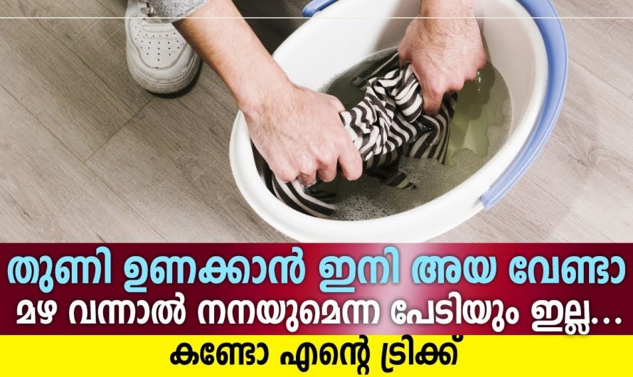 ഒരൊറ്റ അഴ പോലുമില്ലാതെ എല്ലാ തുണികളും എളുപ്പത്തിൽ ഉണക്കി എടുക്കാം.