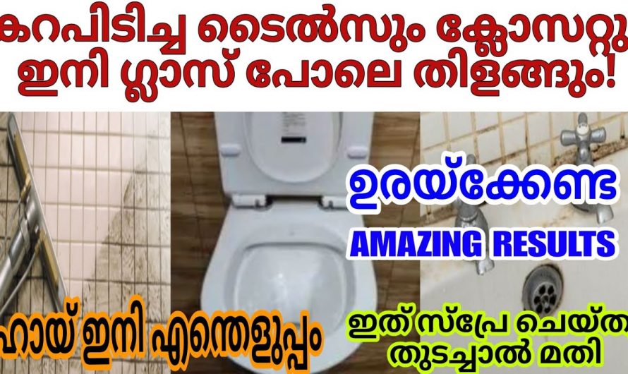 എത്രതന്നെ കറപ്പിടിച്ച ബാത്റൂം ടൈലും ഉരക്കാതെ നിമിഷനേരംകൊണ്ട്  ക്ലീൻ ചെയ്യാം.