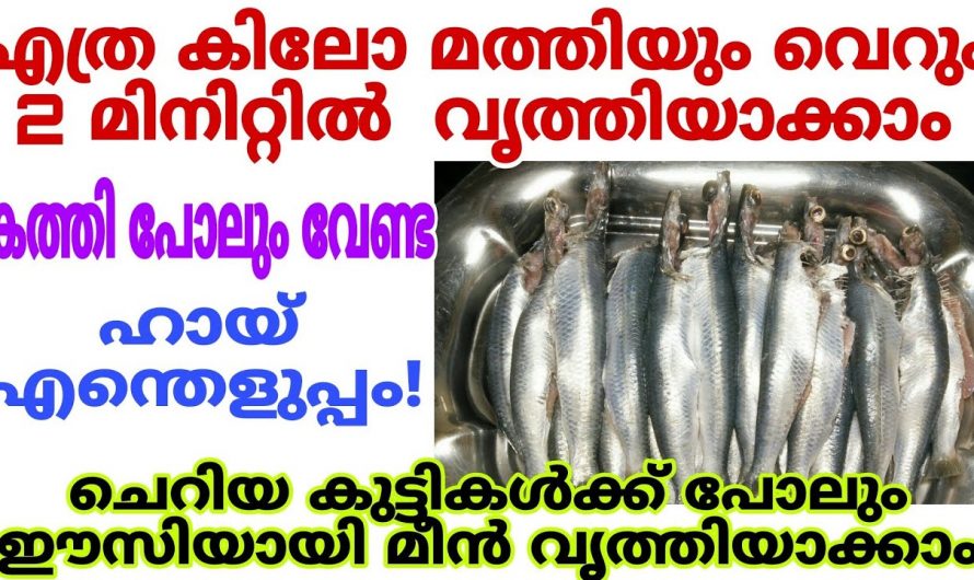 ഈയൊരു സൂത്രം മതി മിനിറ്റുകൾക്കകം എത്ര കിലോ മീനും എളുപ്പത്തിൽ നന്നാക്കിയെടുക്കാം.