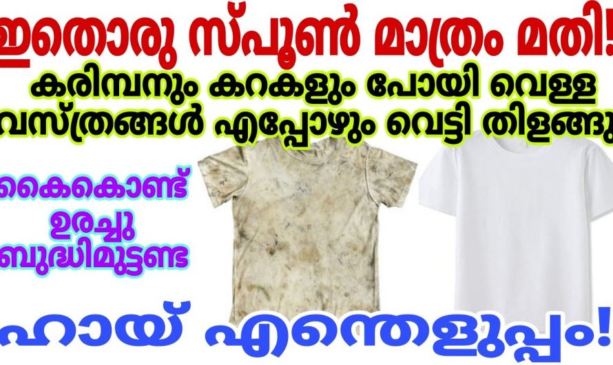 വെള്ള വസ്ത്രങ്ങളിലെ കറയും കരിമ്പനും ഞൊടിയിടയിൽ പരിഹരിച്ച് പുതുപുത്തൻ ആക്കാം.