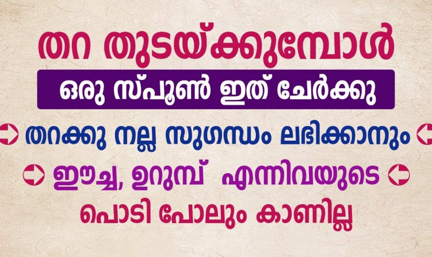 തുടയ്ക്കുന്ന വെള്ളത്തിൽ ഇതൊരു അല്പം ചേർക്കൂ ഈച്ചയും ഉറുമ്പും അവഴിയ്ക്ക് വരില്ല.