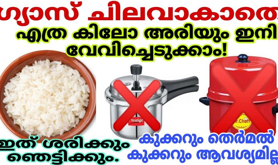 എത്ര കിലോ ചോറ് വേണമെങ്കിലും ഗ്യാസ് ഒട്ടും ചെലവാക്കാതെ വേവിച്ചെടുക്കാൻ  എന്തെളുപ്പം .