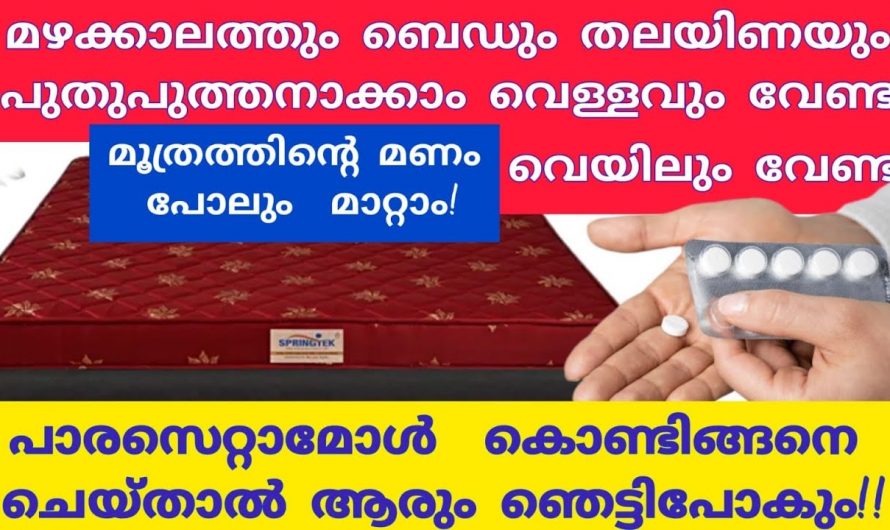 ഒട്ടും വെയിൽ കൊള്ളിക്കാതെ ബെഡ്ഷീറ്റും തലയിണയും പുതുപുത്തനാക്കാം.