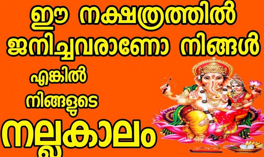 ജൂൺ മാസത്തിൽ സൂര്യനെപ്പോലെ കത്തിജ്വലിക്കുന്ന നക്ഷത്രക്കാർ.