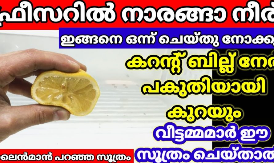 അല്പം നാരങ്ങ നീര് ഉണ്ടെങ്കിൽ ഫ്രിഡ്ജ് വീട്ടിലെ മാറാൻ നല്ല രീതിയിൽ സംരക്ഷിക്കാം..