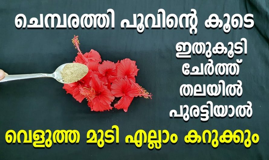 ഓരോ വെളുത്ത മുടിയിഴകളെയും കറുപ്പിക്കാൻ ഇതിലും നല്ലൊരു മാർഗം വേറെയില്ല.