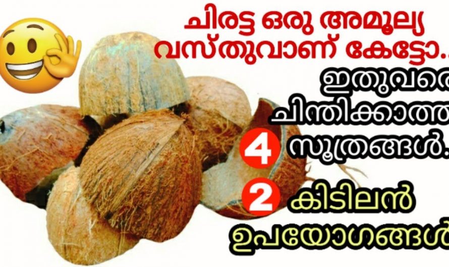 ചിരട്ട കൊണ്ട് വീട് മനോഹരമാക്കാം.