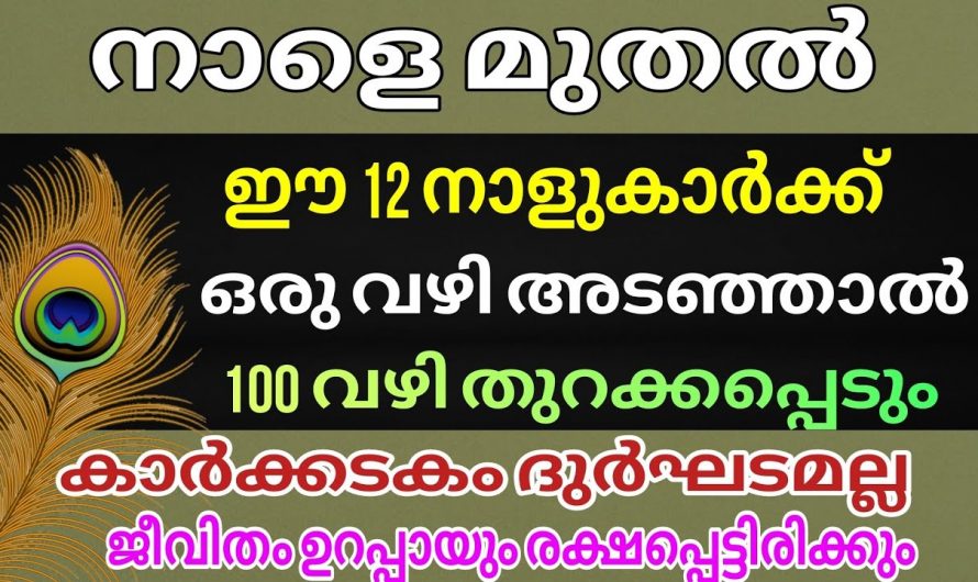 കർക്കിടക മാസത്തിൽ പ്രതീക്ഷകളുടെ പുതിയ വഴി തുറന്നു കിട്ടുന്ന നക്ഷത്രക്കാർ.