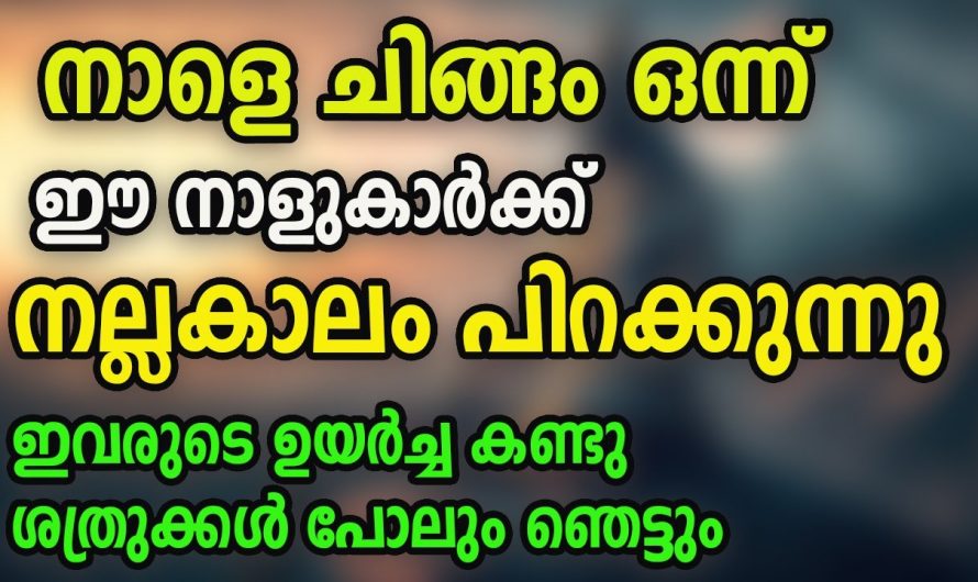 ചിങ്ങം ഒന്നു മുതൽ നക്ഷത്രക്കാർക്ക് നല്ല സമയം..