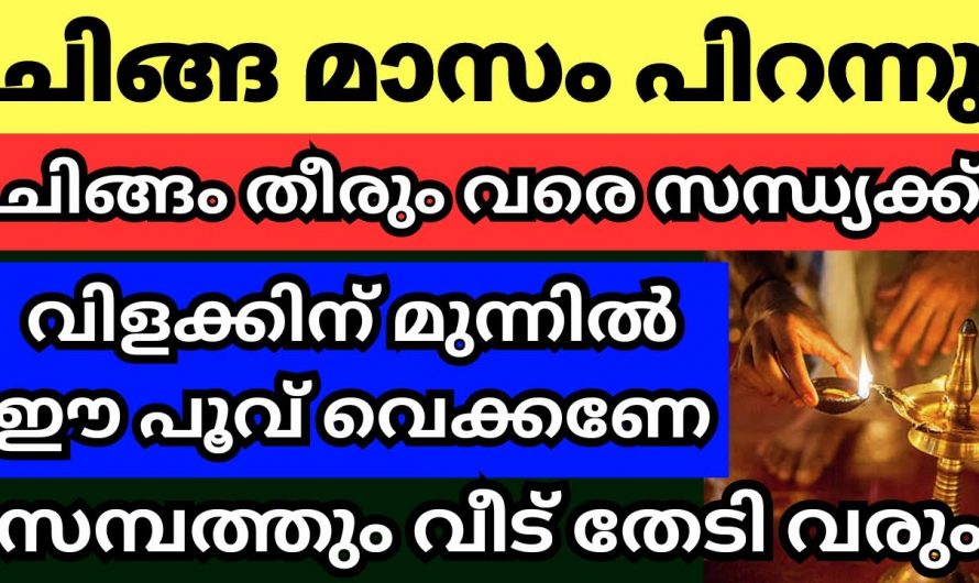 ചിങ്ങമാസത്തിൽ  വീട്ടിൽ ഈ രീതിയിൽ  വിളക്ക് തെളിയിച്ചാൽ സമ്പത്ത് ഇരട്ടിക്കും…