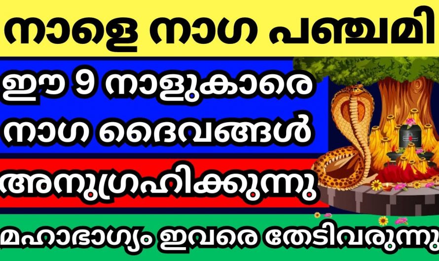 ഓഗസ്റ്റ് മാസത്തിലെ നാഗപഞ്ചമി മുതൽ ജീവിതത്തിൽ സൗഭാഗ്യം വന്ന് ചേരുന്ന നക്ഷത്രങ്ങൾ…