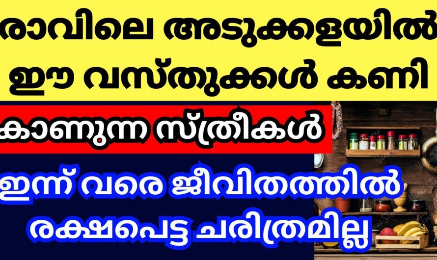 അടുക്കളയിൽ ഇത്തരം കാര്യങ്ങൾ ഒരിക്കലും രാവിലെ എഴുന്നേൽക്കുമ്പോൾ കാണാൻ പാടില്ല…
