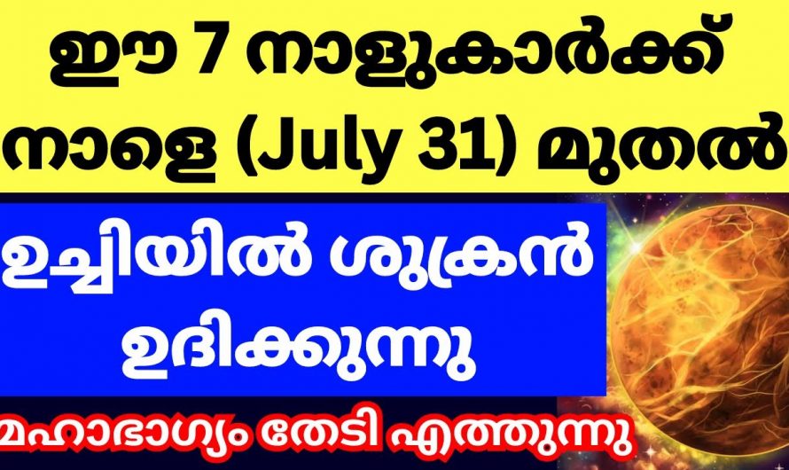 ജൂലൈ 31 മുതൽ ഈ 7 നക്ഷത്രക്കാർ കുതിച്ചുയരും…