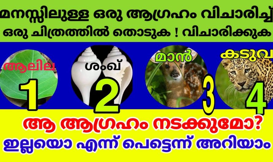 നിങ്ങൾ ആഗ്രഹിക്കുന്ന കാര്യം സാധിക്കുമോ ഇല്ലയോ എന്ന് മനസ്സിലാക്കാം