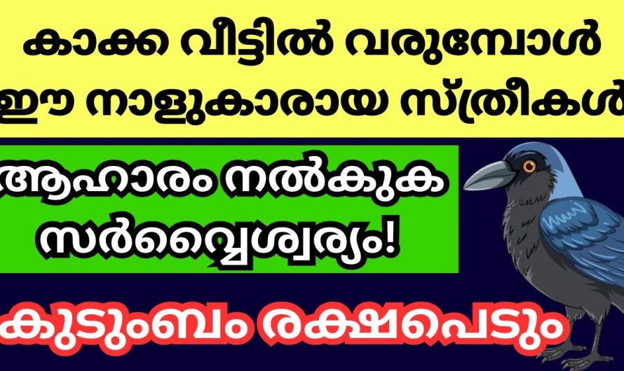 കുടുംബിനി ഈ ഒരു കാര്യം ചെയ്താൽ വീട്ടിൽ സർവ്വേശ്വര്യം വിളയാടും…