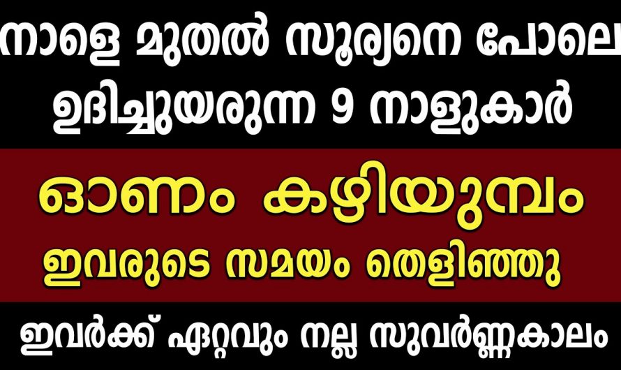 ഓണത്തിന് ശേഷം കുതിച്ചു ഉയരുന്ന  നക്ഷത്രക്കാർ…