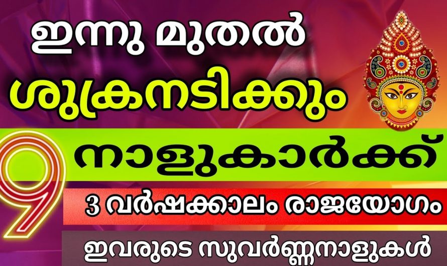 ശുക്രൻ അടിച്ചു കൊണ്ട് സമ്പത്ത് കുഞ്ഞു കൂടുന്ന നക്ഷത്രക്കാർ…