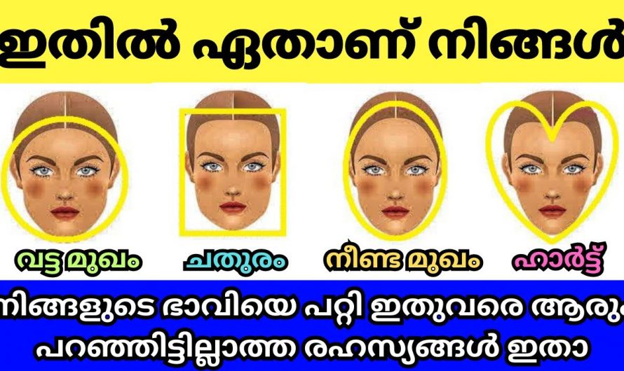 നിങ്ങളുടെ മുഖത്തിന്റെ ഷേപ്പ് പറയും നിങ്ങളുടെ ജീവിതത്തിൽ നടക്കാൻ പോകുന്നത്…