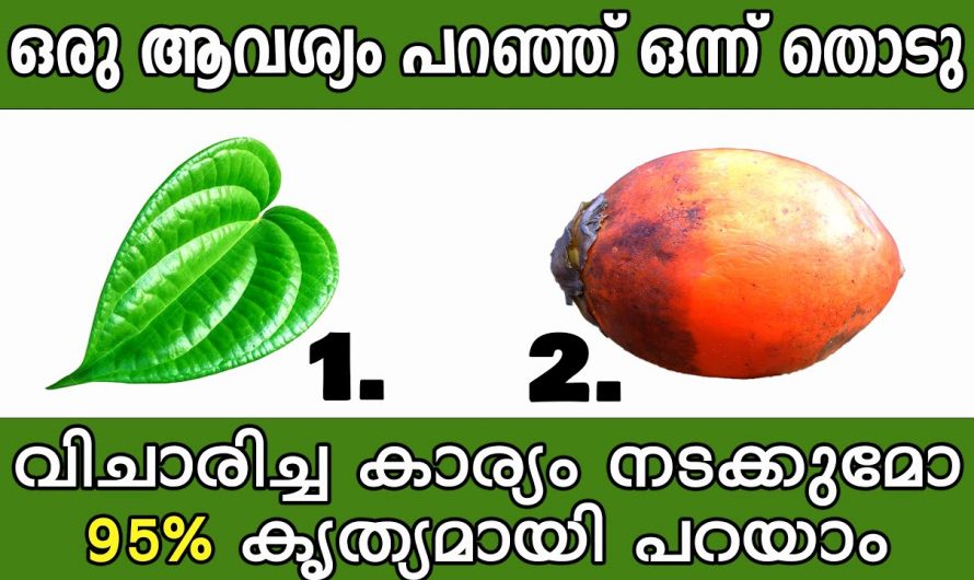 നിങ്ങളുടെ ജീവിതത്തിൽ നടക്കാൻ പോകുന്നത് മനസ്സിലാക്കാൻ ഈ തൊടുകുറി  ശാസ്ത്രം സഹായിക്കും..