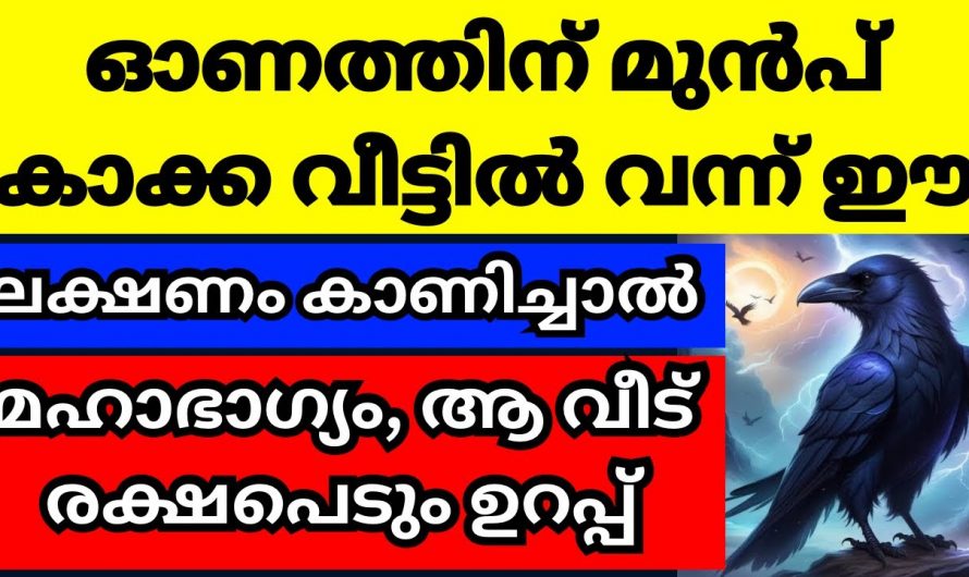 ഓണത്തിന് മുൻപ് കാക്കകൾ വീട്ടിൽ വന്നു ഇത്തരം ലക്ഷണങ്ങൾ കാണിച്ചാൽ..