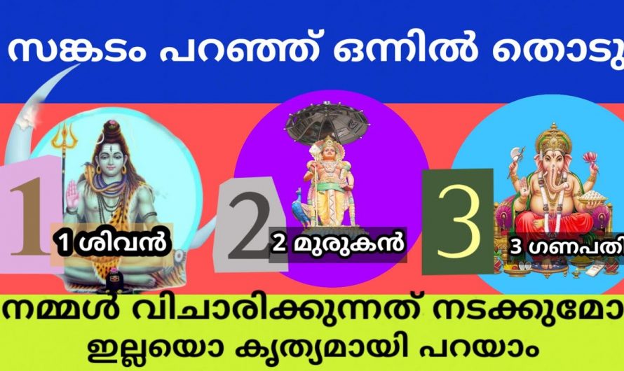 ഇതിൽനിന്ന് ഒരു ചിത്രം തിരഞ്ഞെടുത്ത് ഭാവിയെ കുറിച്ച് അറിയൂ..