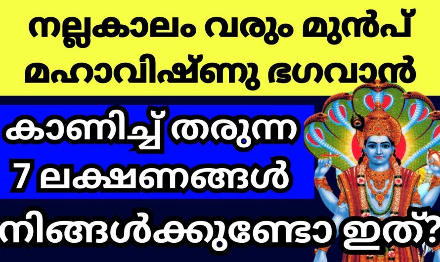 7 ലക്ഷണങ്ങളിൽ ഒന്നുണ്ടായാൽ മതി നിങ്ങളുടെ ജീവിതത്തിൽ മഹാവിഷ്ണുവിന്റെ അനുഗ്രഹം ഉണ്ടെന്ന് ഉറപ്പിക്കും…