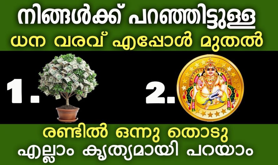 ഇതിൽ രണ്ടിൽ നിന്നു ഒന്ന് തൊട്ടു നോക്കൂ ഞെട്ടിക്കും.
