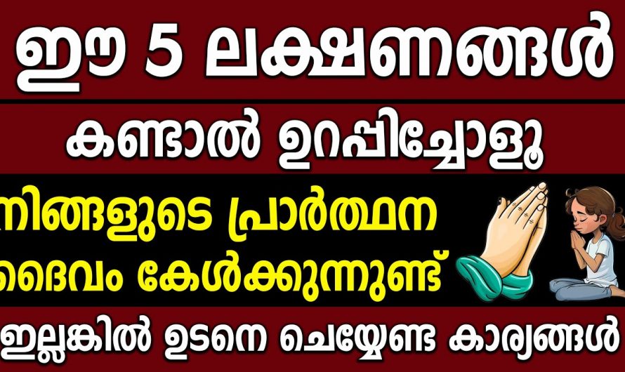 നിങ്ങൾ പ്രാർത്ഥിക്കുമ്പോൾ ഇത്തരം ലക്ഷണങ്ങൾ ഉണ്ടെങ്കിൽ ഈശ്വരൻ  പ്രാർത്ഥന കേട്ടു എന്നാണ്…