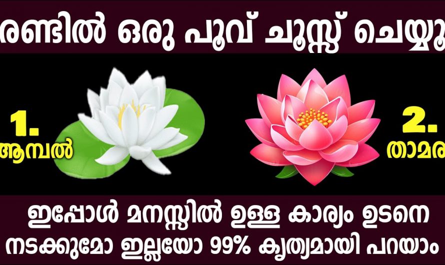 നിങ്ങളുടെ ഇഷ്ടങ്ങളും ആഗ്രഹങ്ങളും എപ്പോൾ സാധ്യമാകും മനസ്സിലാക്കാം.