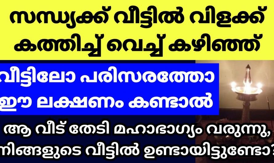 ഈ ലക്ഷണങ്ങൾ സന്ധ്യയ്ക്ക്  നിലവിളക്ക് കൊടുത്തതിന് ശേഷം നിങ്ങൾ കണ്ടിട്ടുണ്ടോ..