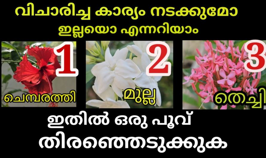 ഈ പൂക്കളിൽ ഒന്നു തിരഞ്ഞെടുക്കു നിങ്ങളുടെയും ജീവിതത്തെക്കുറിച്ച് മനസ്സിലാക്കുക.
