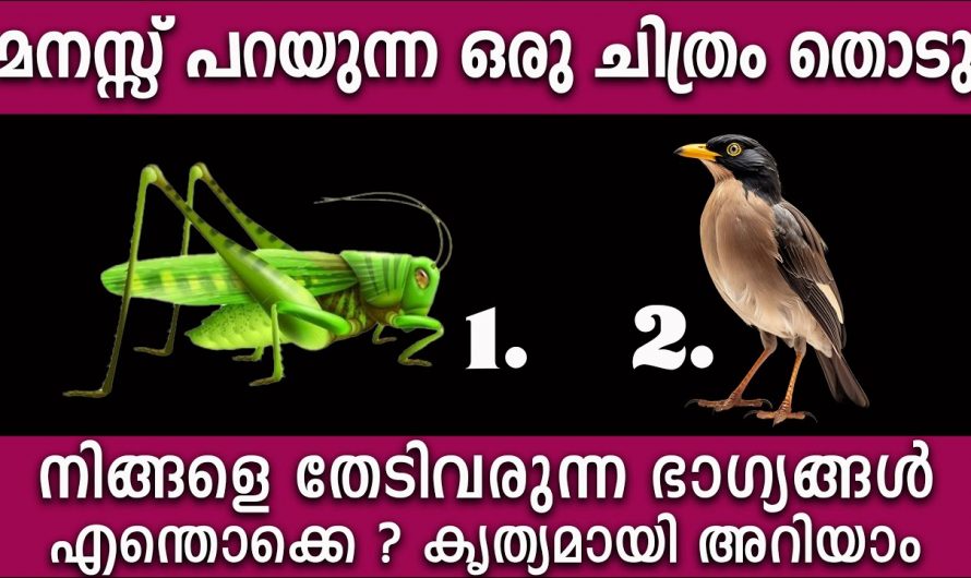 ഈ രണ്ടു ചിത്രങ്ങളിൽ ഒന്ന് തിരഞ്ഞെടുത്ത് നിങ്ങളുടെ ജീവിതം ആസ്വാദ്യം ആക്കു..