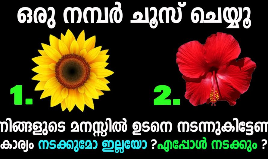 നിങ്ങളുടെ ഏത് ആഗ്രഹവും എപ്പോൾ സാധ്യമാകും എന്നത് ഇതിൽ നിന്ന് മനസ്സിലാക്കാം