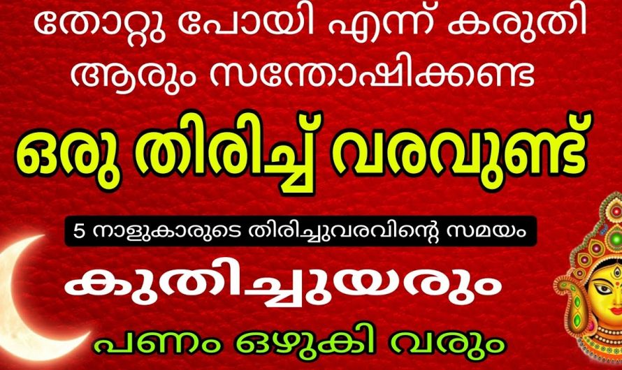 തോറ്റുപോയി എന്ന് വിചാരിച്ചു നിൽക്കുന്നിടത്ത് ഇവർക്ക് സൗഭാഗ്യങ്ങളുടെ പെരുമഴ..