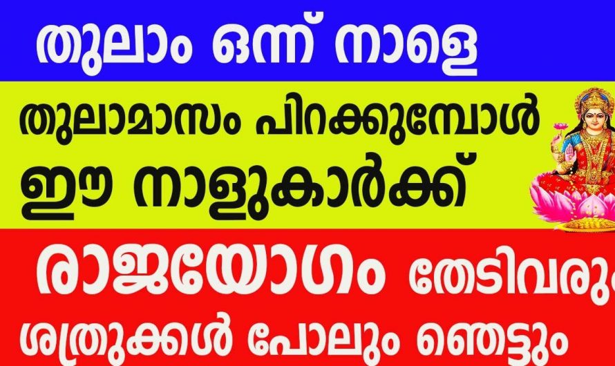 തുലാമാസത്തിൽ ഈ നക്ഷത്രക്കാരെ പിടിച്ചാൽ കിട്ടില്ല അത്രയ്ക്കും നല്ല സമയം..