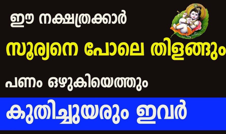 ഈ നക്ഷത്രക്കാർക്ക്  രാജാവിനെ പോലെ ജീവിക്കാൻ സാധിക്കും.