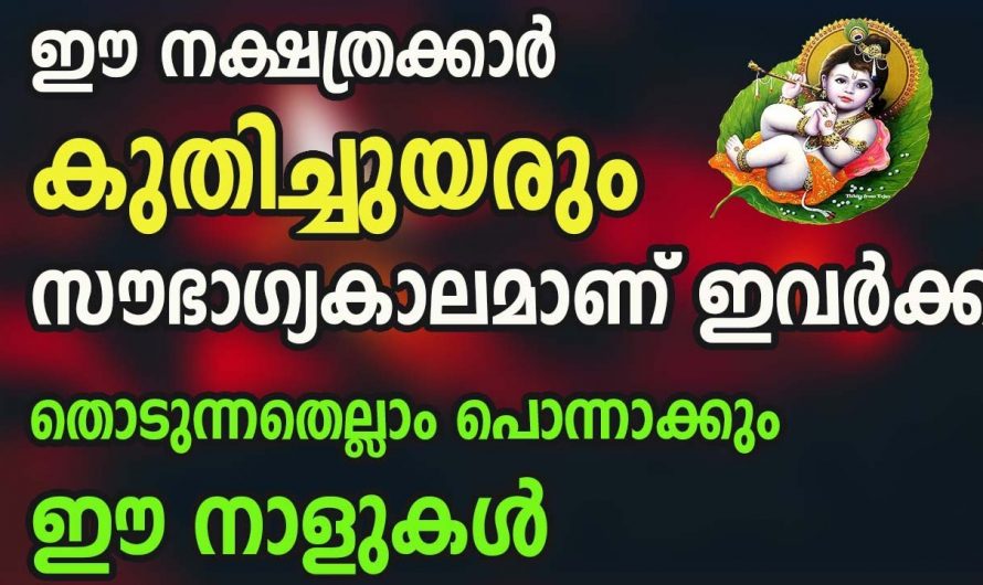 ഈ നക്ഷത്രക്കാർ ഇനി തൊടുന്നതെല്ലാം പൊന്നാകും,അത്രയ്ക്കും സൗഭാഗ്യങ്ങളുടെ കാലഘട്ടമാണ്.