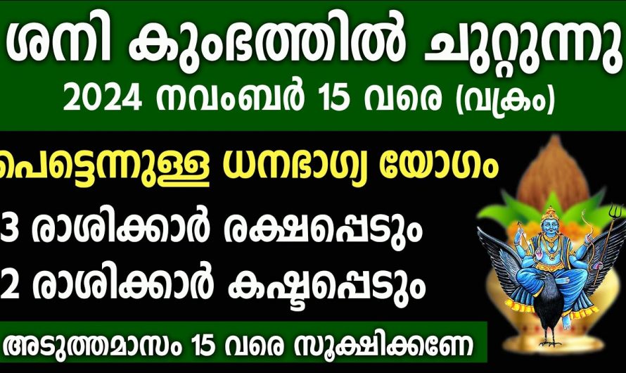 2024 നവംബർ 15 വരെ മൂന്ന് രാശിക്കാർക്ക്  സൗഭാഗ്യങ്ങളുടെ പെരുമഴ.