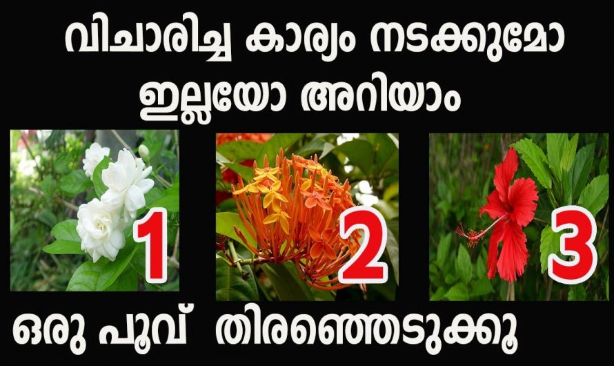 നമ്മൾ ആഗ്രഹിക്കുന്ന കാര്യങ്ങൾ ജീവിതത്തിൽ നടക്കുമോ ഇല്ലയോ എന്ന് മനസ്സിലാക്കാം.