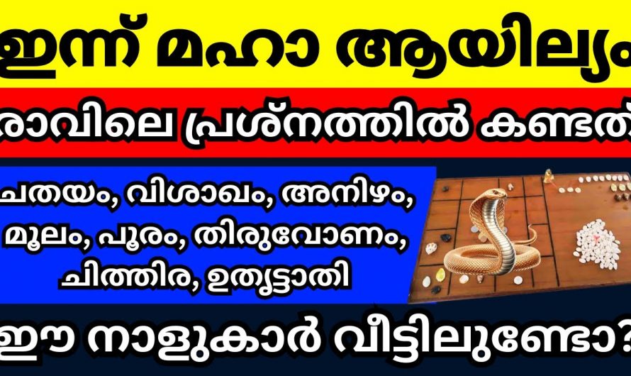 ആയില്യം നാട്ടിൽ ഈ നക്ഷത്രക്കാർ വളരെയധികം പ്രത്യേകം ശ്രദ്ധിക്കണം..