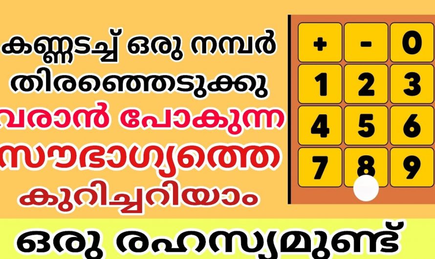 ഇതിൽനിന്ന് ഒരു നമ്പർ തെരഞ്ഞെടുപ്പ് നിങ്ങളുടെ സൗഭാഗ്യത്തെക്കുറിച്ച് തിരിച്ചറിയൂ..