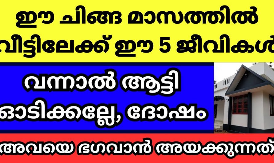 നിങ്ങളുടെ വീട്ടിലെ പരിസരത്ത് ഈ ജീവികൾ വന്നു കയറിയാൽ സംഭവിക്കുന്നത്….