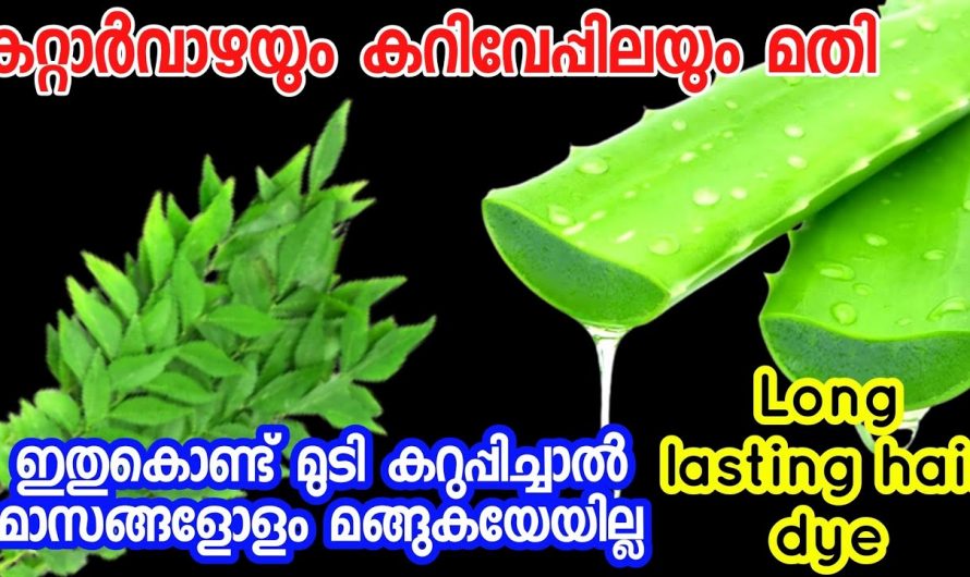 എത്ര  നരച്ച മുടിയും കറുക്കാൻ ഈ ഒരു ഒറ്റ കാര്യം ചെയ്താൽ മതി..